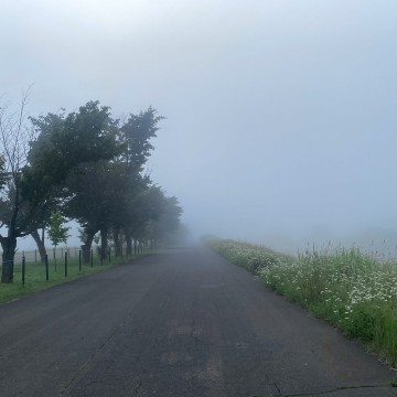 7月のお休みのお知らせ