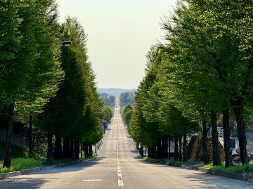 5月のお休み