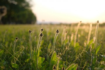 7月のお休み