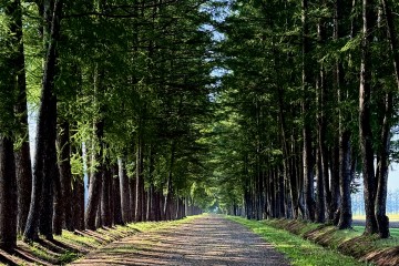 9月のお休み
